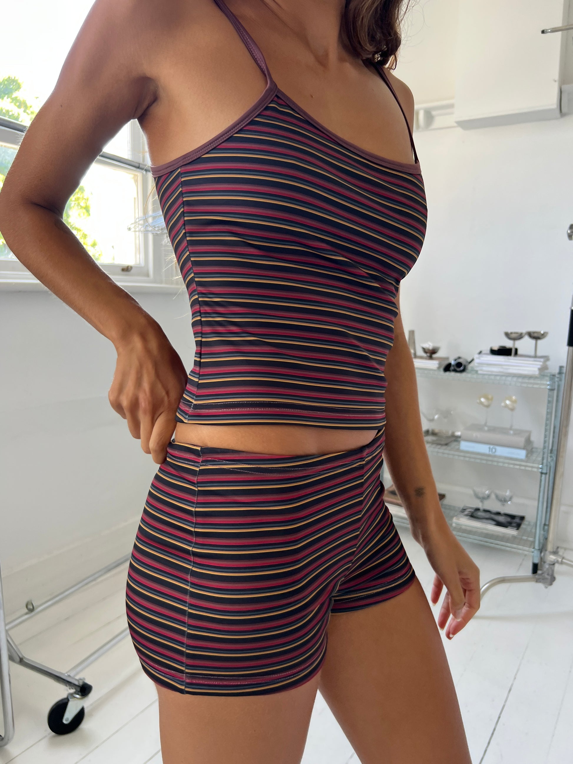 Orion Reversible Swim Tank