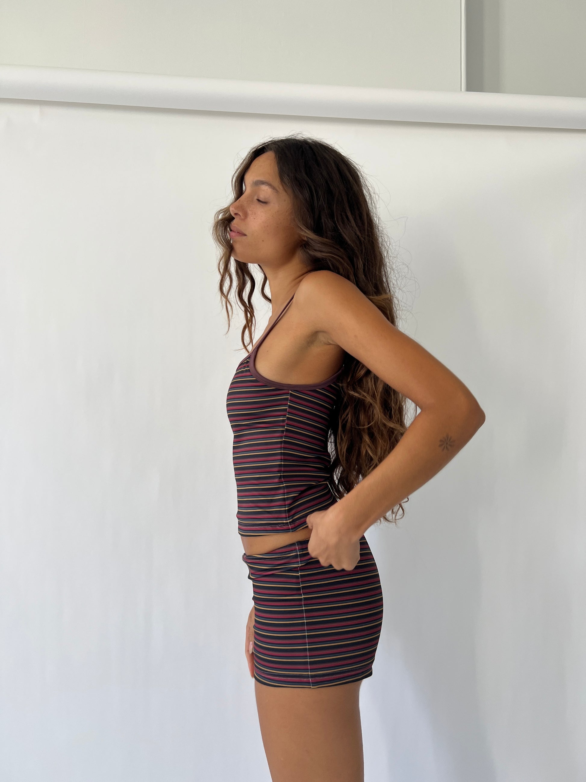 Orion Reversible Swim Tank
