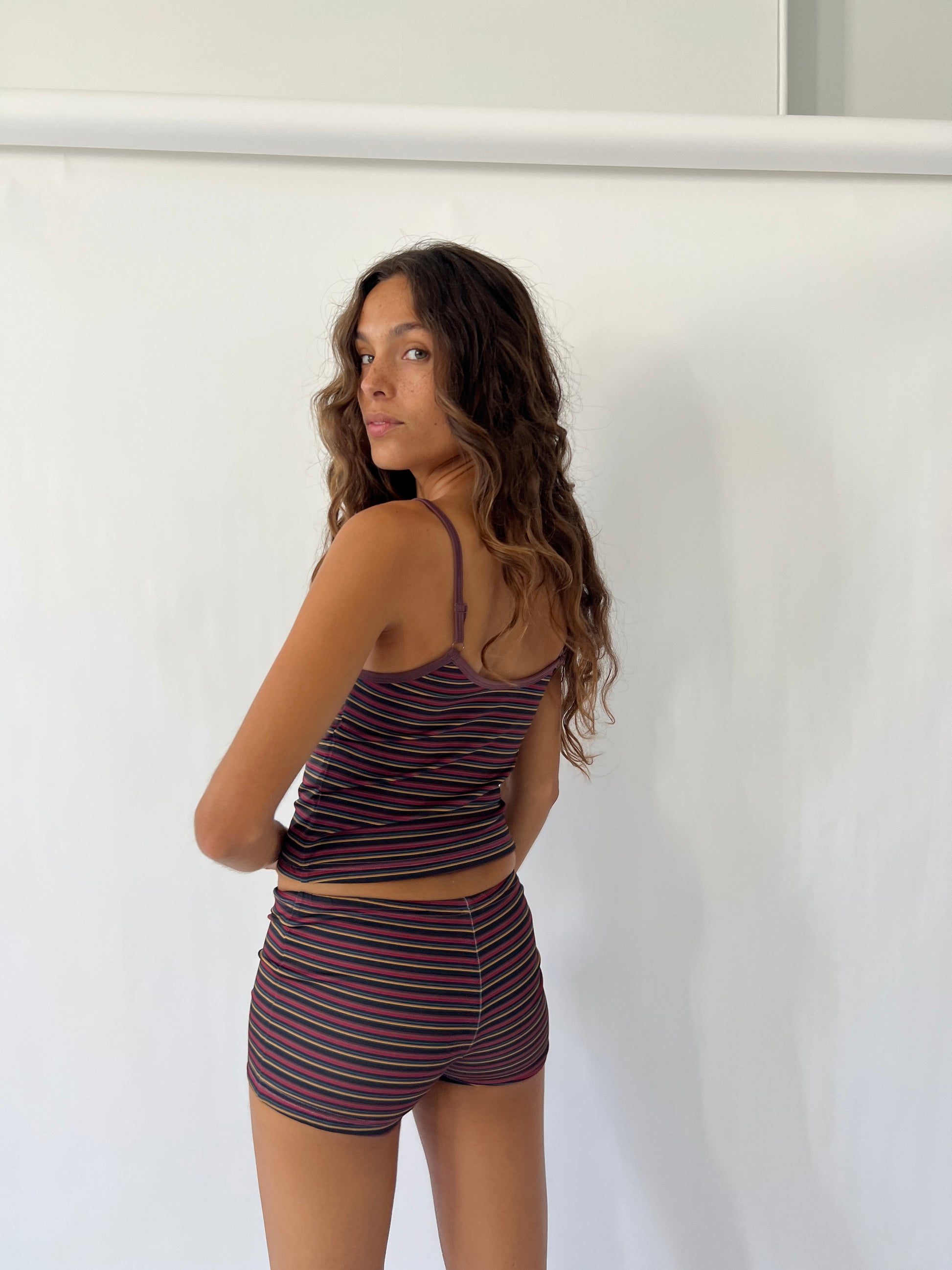 Orion Reversible Swim Tank