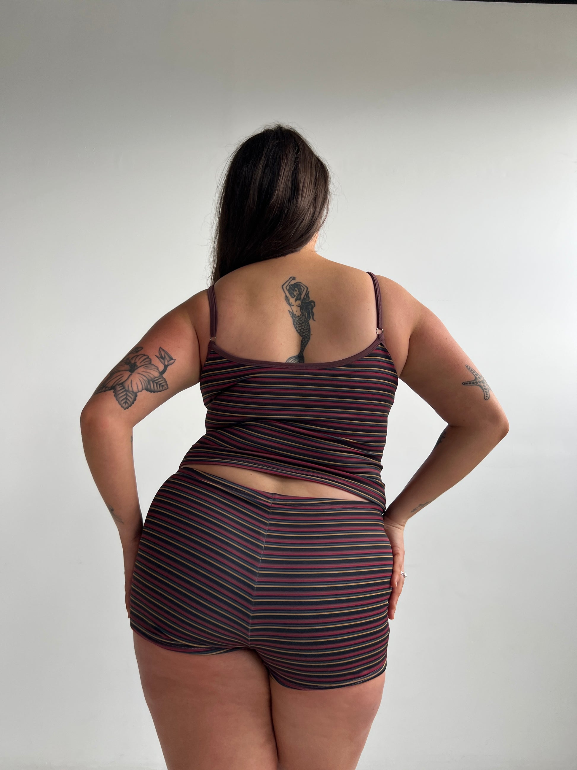 Orion Reversible Swim Tank