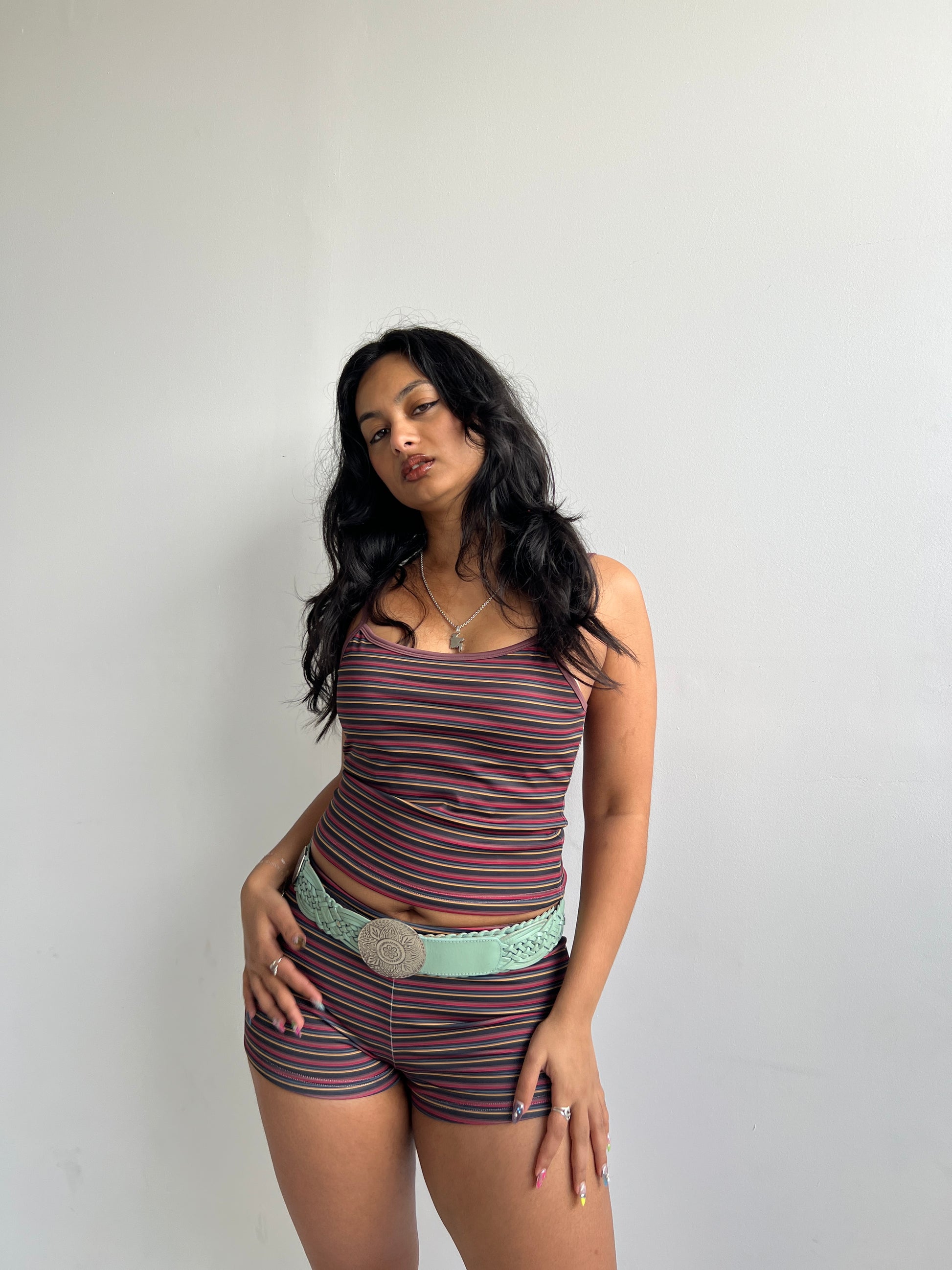 Orion Reversible Swim Tank