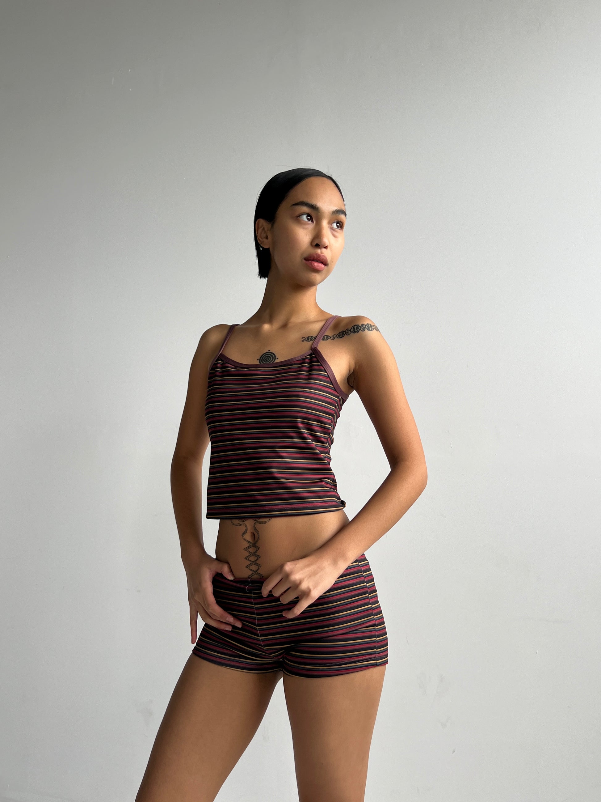 Orion Reversible Swim Tank
