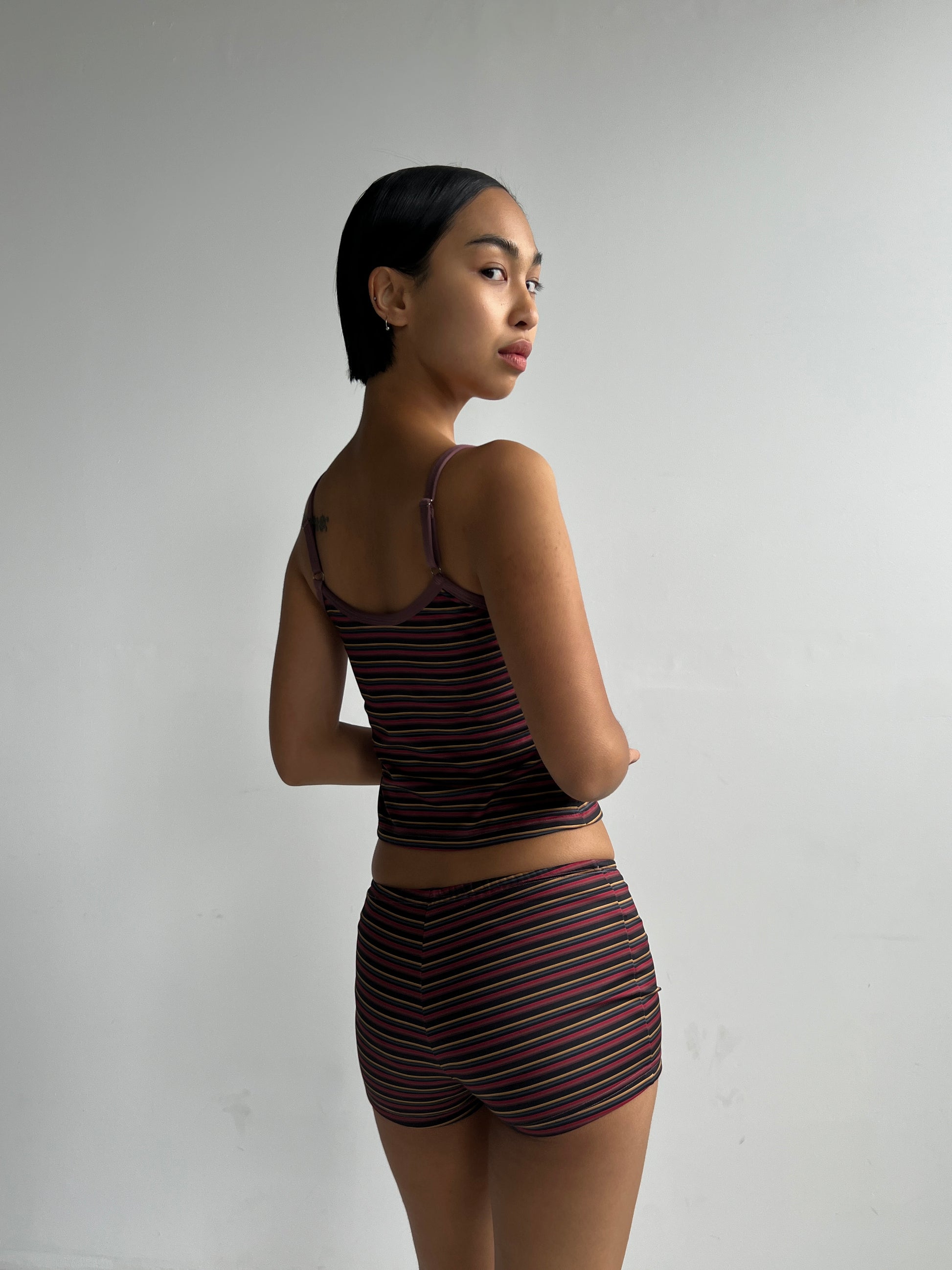Orion Reversible Swim Tank